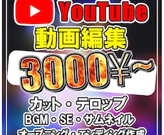 20分の動画も3000円！動画編集します イメージ1