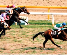 競馬で1日3レース~5レースの予想をお届けします