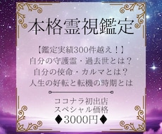 霊視◆守護霊対話で魂の課題と人生の転機を紐解きます イメージ1