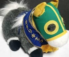 お金が増える馬券の買い方を教えます 100％勝てる方法はないですがトータルでプラスになる買い方