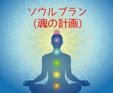 ソウルプラン☆あなたの魂の計画をお伝えします 魂の設計図ブループリントをお届けします！