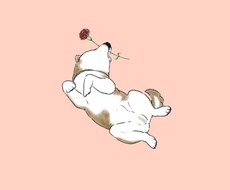 大切なペット様のイラスト壁紙作成します イメージ1