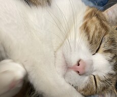 なかなか周りには話せない話をお聞きします イメージ1