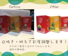 白抜き・明るさ彩度調整します イメージ1