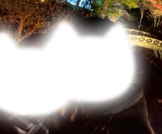 禁欲を通して人生逆転させた方法教えます たった1年でモテてハーレム生活を送れるようになった秘訣！