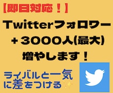 Twitterのフォロワーを50人増やします ★外国人フォロワーを50人〜最大3000人増やします！