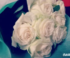 恋愛･結婚のお悩みなんでも聞きます 恋愛･結婚のことを誰にも話せないと悩んでいる方