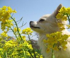 愚痴りたい、話を聞いて欲しい方必見！何でも気持ちをぶつけてください！ イメージ1