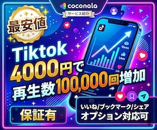 最安値 TikTok動画再生数を10万回増加します イメージ1
