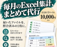 毎月の集計を届いたファイルから仕上げて返します 5ファイル・1万行まで。集計表と不一致一覧を毎月納品