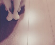 悲しいことでも嬉しいことでもなーんでも聞きます！ イメージ1