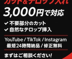 動画編集の「面倒なところだけ」やります イメージ1