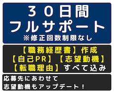 元面接官の転職支援のプロが30日間転職支援します 職務経歴書から志望動機まですべて作成します※制限なし