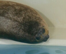 どんなことでも、愚痴聞きます イメージ1