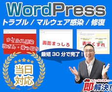 ワードプレスの不具合解決⭕マルウェア駆除復旧します 今すぐ対応可能マルウェア駆除・エラー不具合・乗っ取りなど解決