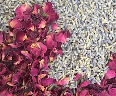 自然な『緑の薬箱』を活用し、不調の改善を目指します イメージ1