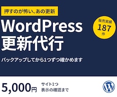 WordPressの更新を壊さないように代行します イメージ1