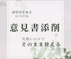 面会交流・養育費の意見書を実務レベルで添削します イメージ1