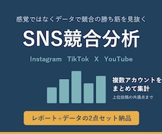 競合SNSアカウントの投稿を定量分析します イメージ1