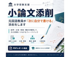 大学受験の小論文を個別添削します イメージ1