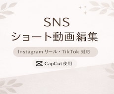 Instagram / TikTok動画編集します 【リール編集／ショート動画】SNS用動画を編集します