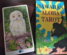 リピーター様専用になります ２回目からはこちらから鑑定依頼ください