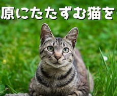画像加工★背景透過素材の作成承ります イメージ1