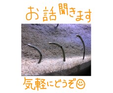 お話聞きます イメージ1