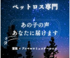 ペットロス専門⭐︎霊視でペットさんの魂と繋がります あの子の声を、あなたへ届けます