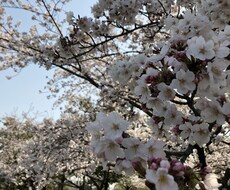 悩み苦しんでいる心の問題解決へと導きます イメージ1