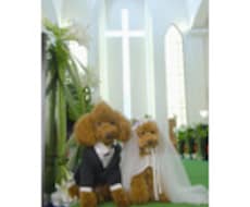 あなたにピッタリお似合いの結婚相手のプロフィールをご紹介いたします♪