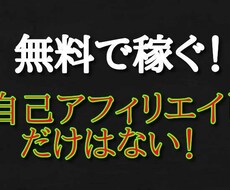 自己アフィリエイト以外で稼いだ方法教えます 無料で稼ぐ方法は自己アフィリエイトだけではない！
