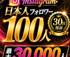 インスタの日本人フォロワー100人増やします イメージ1