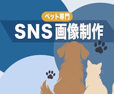 ペット専門！インスタ・SNS投稿画像制作します イメージ1