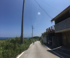 写真に映りこんだ邪魔なもの。消します 後ろに邪魔なものが映り込んでしまった！きれいに消します。