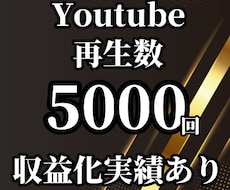 Youtube動画宣伝で再生数5000増やします 先着限定割引！収益化実績あり！手早く視聴者を集めます