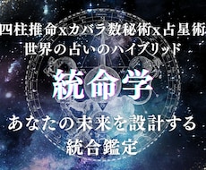 期間限定価格　究極のハイブリット統計学　で占います