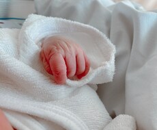 就学前のお子さんの育児相談お聴きします イメージ1