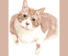 どうぶつのイラスト似顔絵を描いています イメージ1