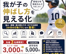 野球少年の伸ばし方を分析します 野球少年の強み・課題・練習を見える化