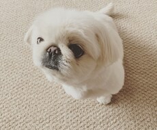 話し相手になり、相談にのります イメージ1