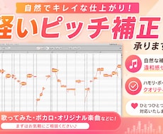 軽いピッチ補正を承ります イメージ1