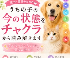 うちの子の今の状態をチャクラから読み解きます イメージ1