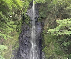お経と祝詞で即浄化◆モヤモヤを祓い心を軽くします イメージ1