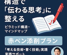 構造化したマインドマップを添削します ピラミッド構造・思考整理の赤ペン添削