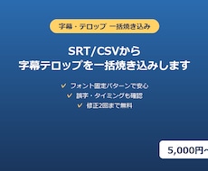 大量の動画字幕、まとめて焼き込みます イメージ1