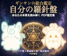 ギンサンの「自分の羅針盤」総合鑑定を届けます