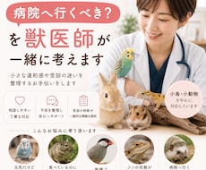 今「病院へ行くべき？」を獣医師が一緒に考えます 小さな違和感や受診の迷いを整理します