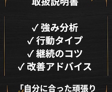 タイプ分析あなた専用の取扱説明書を作成します 頑張っているのに続かない。やる気はあるのに空回りするを解決
