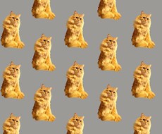お気に入りの画像を作成します イメージ1